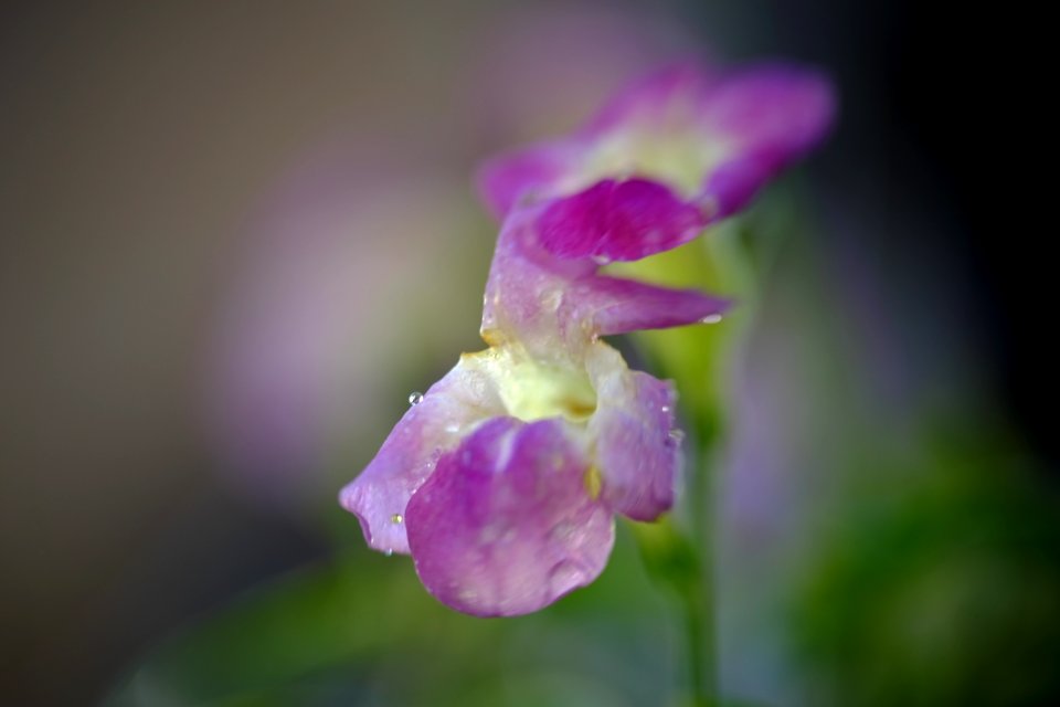 DSCF1697