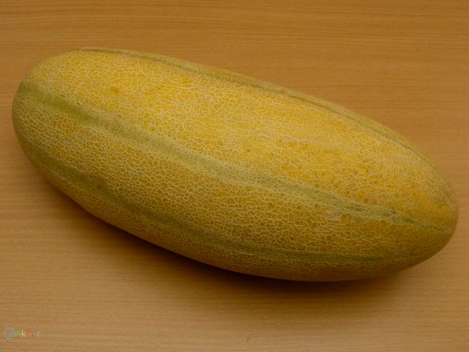 عکس خربزه