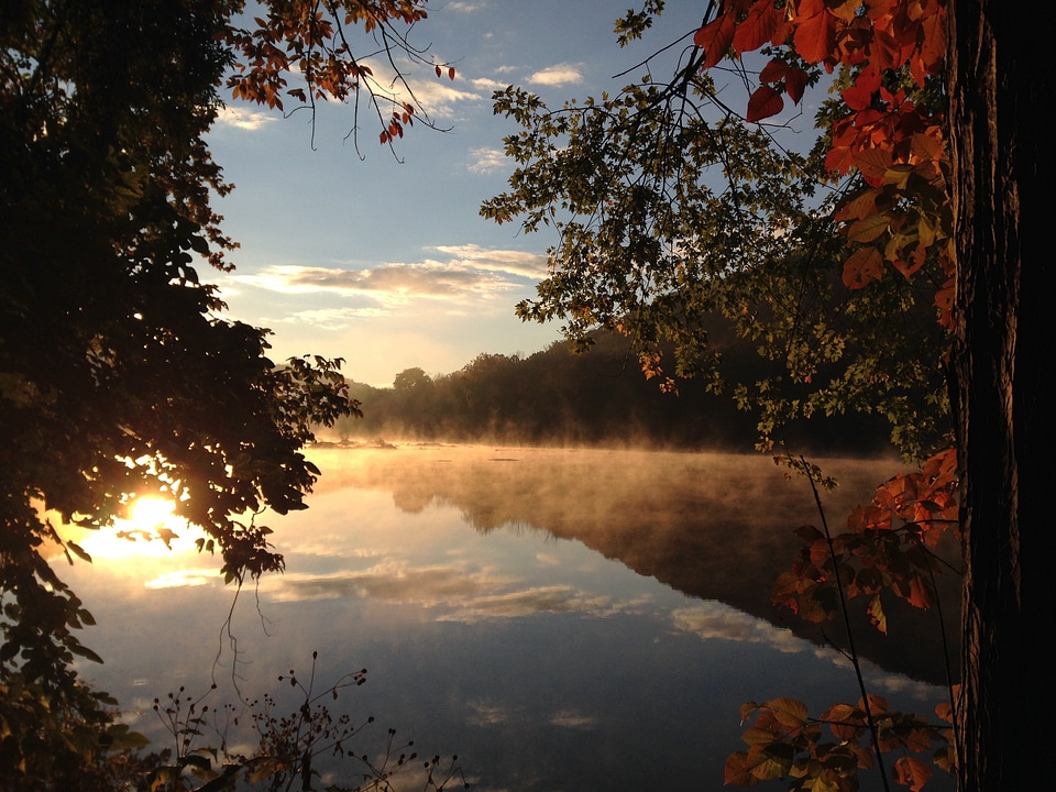 Sunset autumn fog