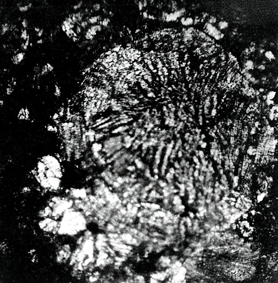 Table 27 - Figure 2