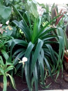 Botanical Garden