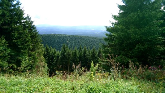 Harz mountains photo