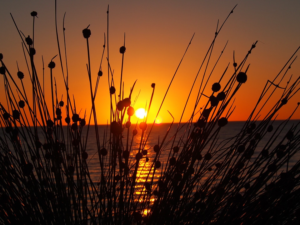Coast dusk tranquil