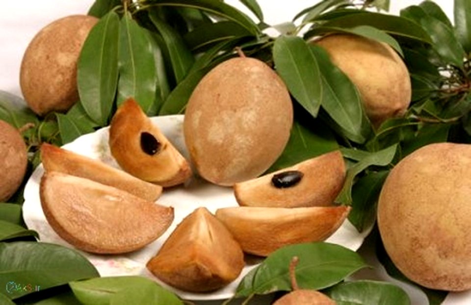 عکس های چیکو