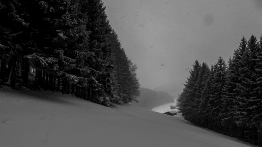Bergmatten
