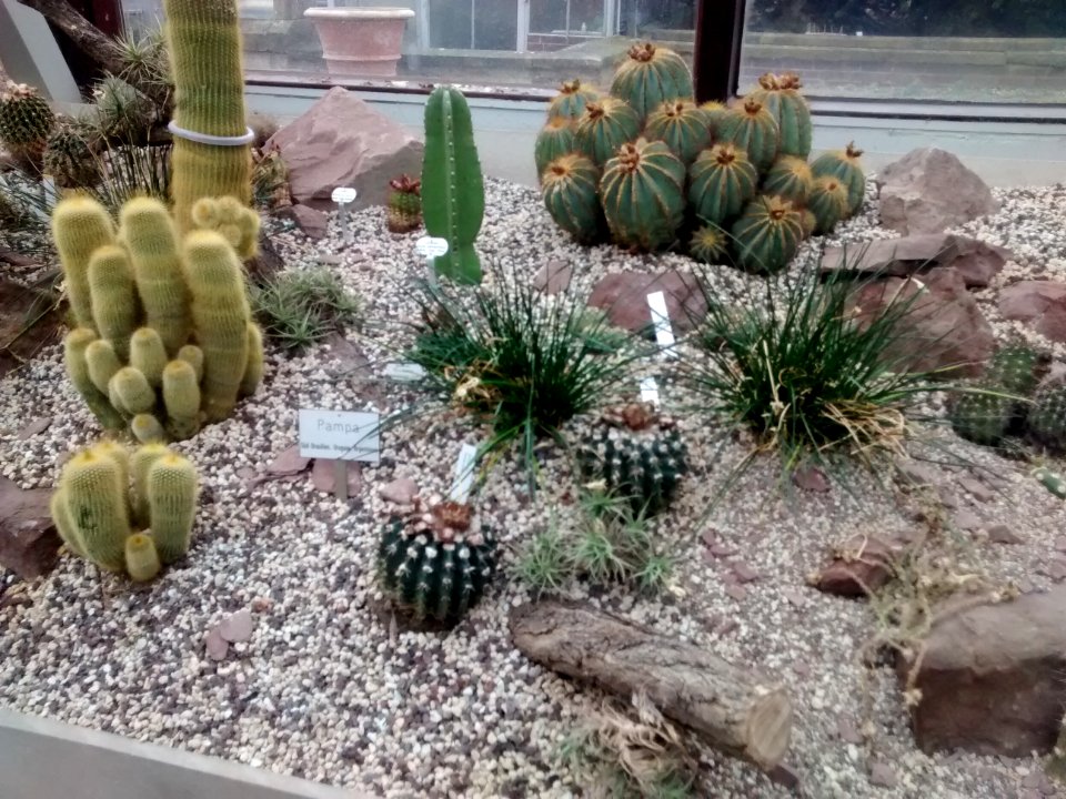 Botanical Garden