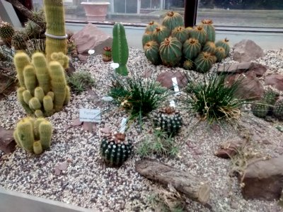 Botanical Garden