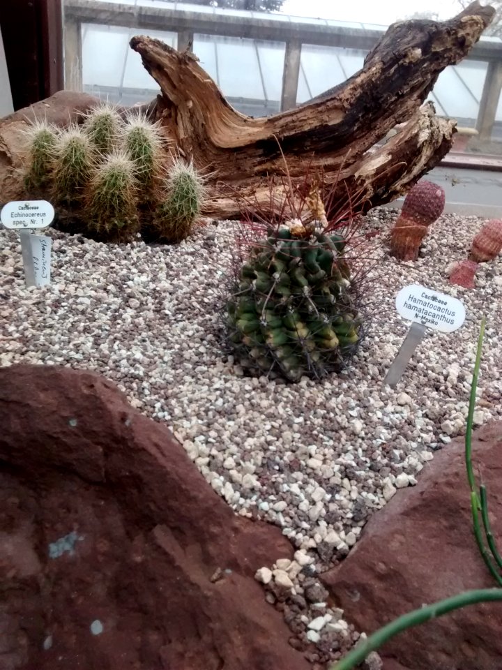 Botanical Garden