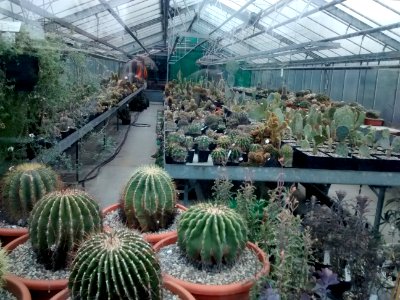 Botanical Garden