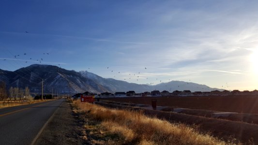 Spanish Fork Fields