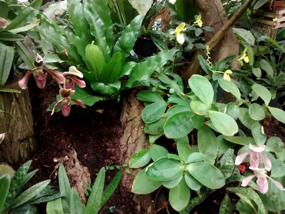 Botanical Garden
