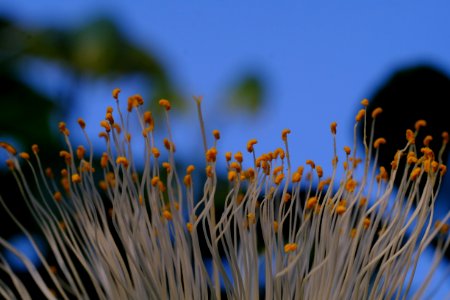 DSCF3981