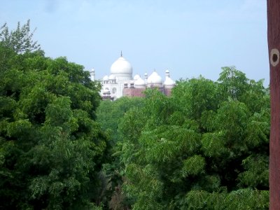Taj mahal from afar