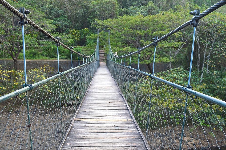 Bridge over water park nature