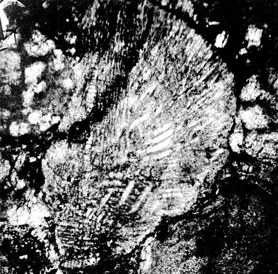 Table 23 - Figure 5