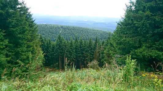 Harz mountains photo