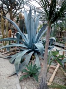 Botanical Garden
