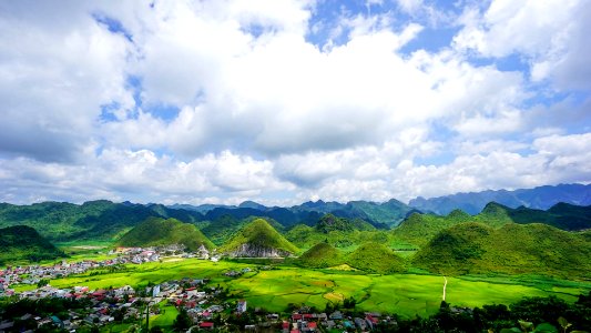 Paddy fields, Vietnam photo