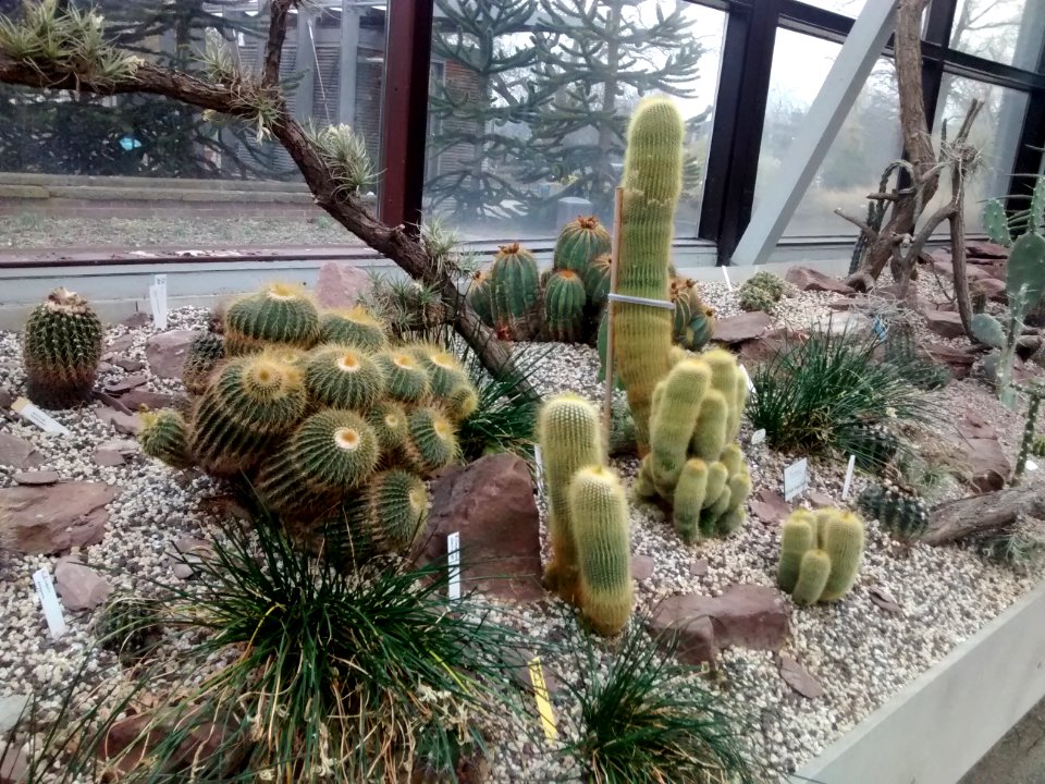 Botanical Garden