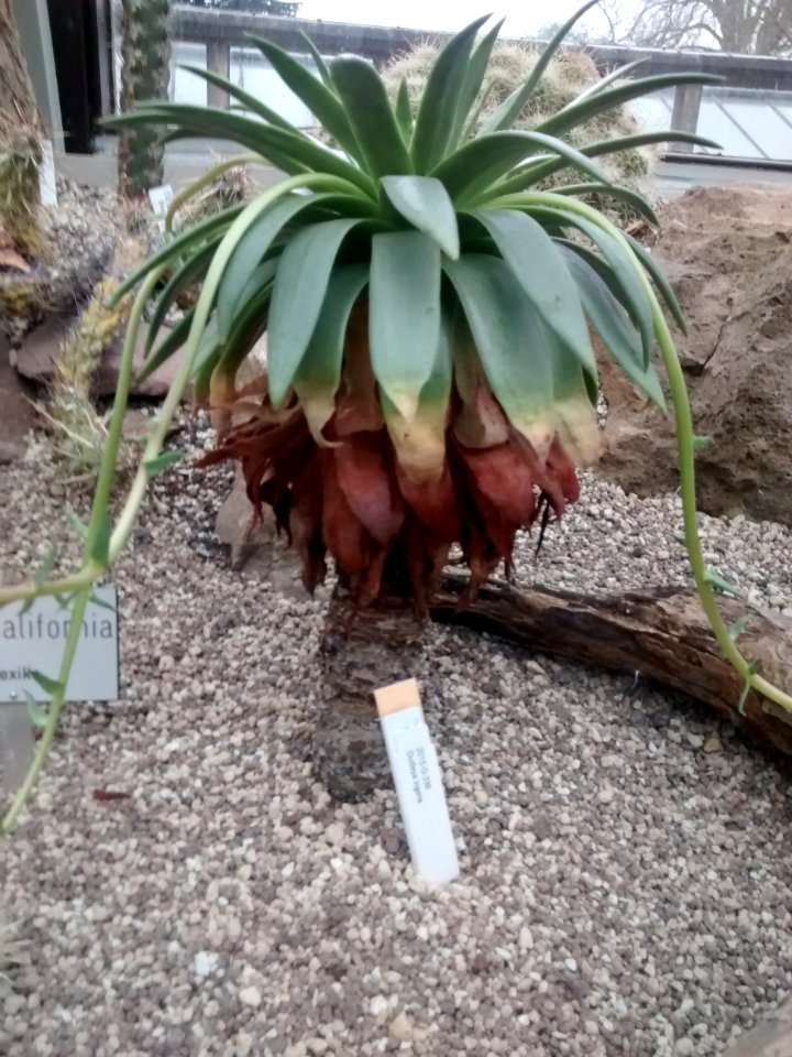 Botanical Garden