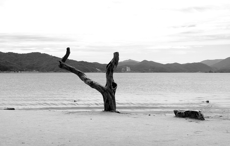 And thu by the river landscape