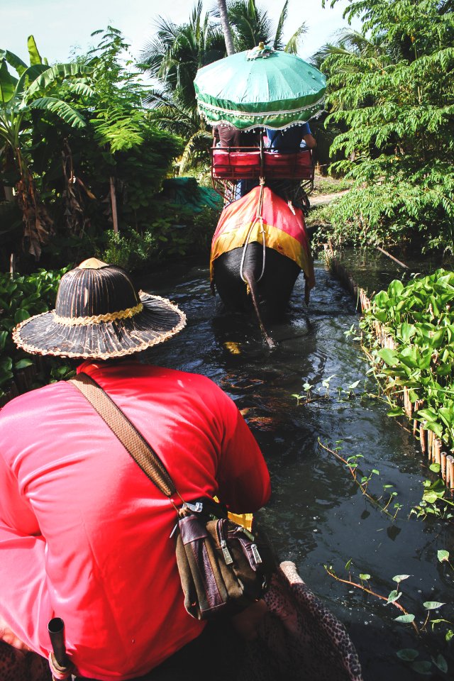 Excursión con elefante cerca de Kanchanaburi, Tailandia.