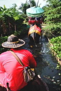 Excursión con elefante cerca de Kanchanaburi, Tailandia.