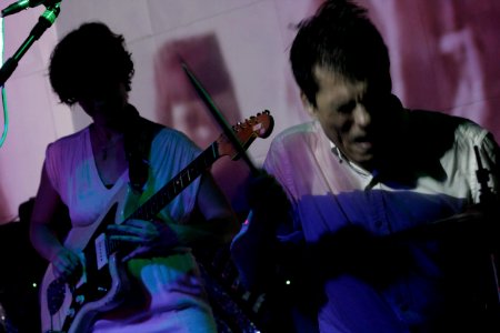 The Octopus Project