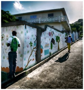 2016-11 Grenadines-049-20161201