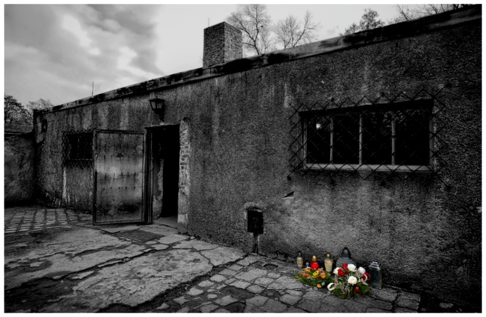 2016-11 Auschwitz- 08-20161111