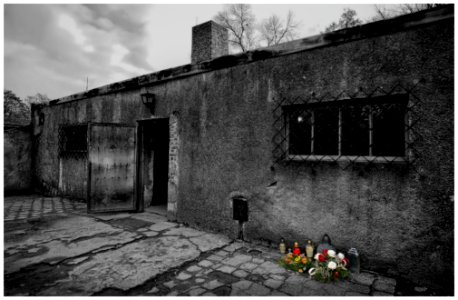 2016-11 Auschwitz- 08-20161111