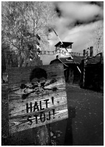 2016-11 Auschwitz- 10-20161111