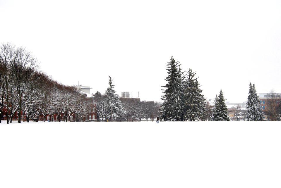 Winter - Johnston Green