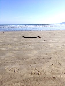 Meia Praia, Itapema/SC