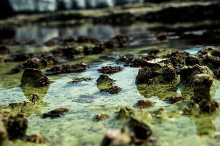 Rock pools photo