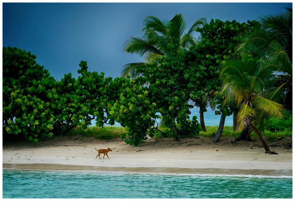 2016-11 Grenadines-033-20161130