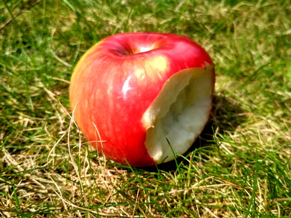 IMG 20180725 145149 HDR