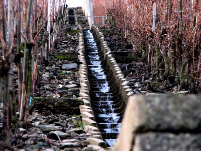Vineyard and steep canal with steps photo