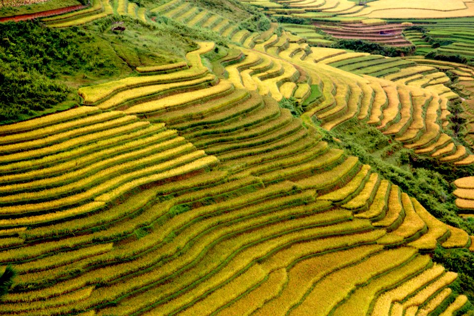 Le Pan Tan, Vietnam2