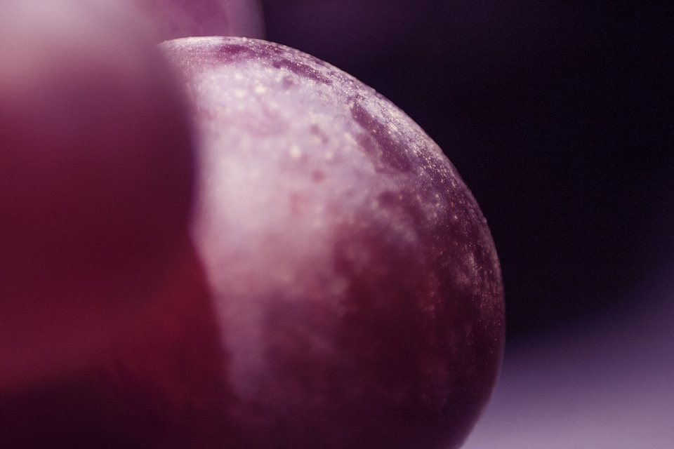 Health grapes fruit