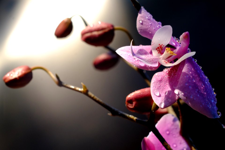 DSCF3974