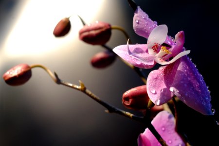 DSCF3974