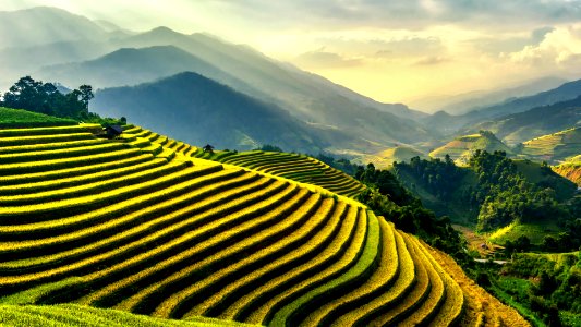 Terraced paddy fields, Vietnam (2) photo