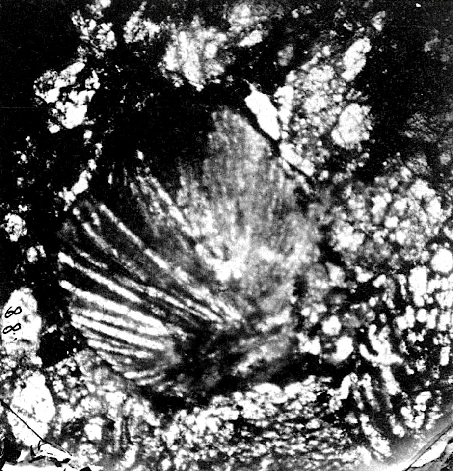 Table 25 - Figure 4
