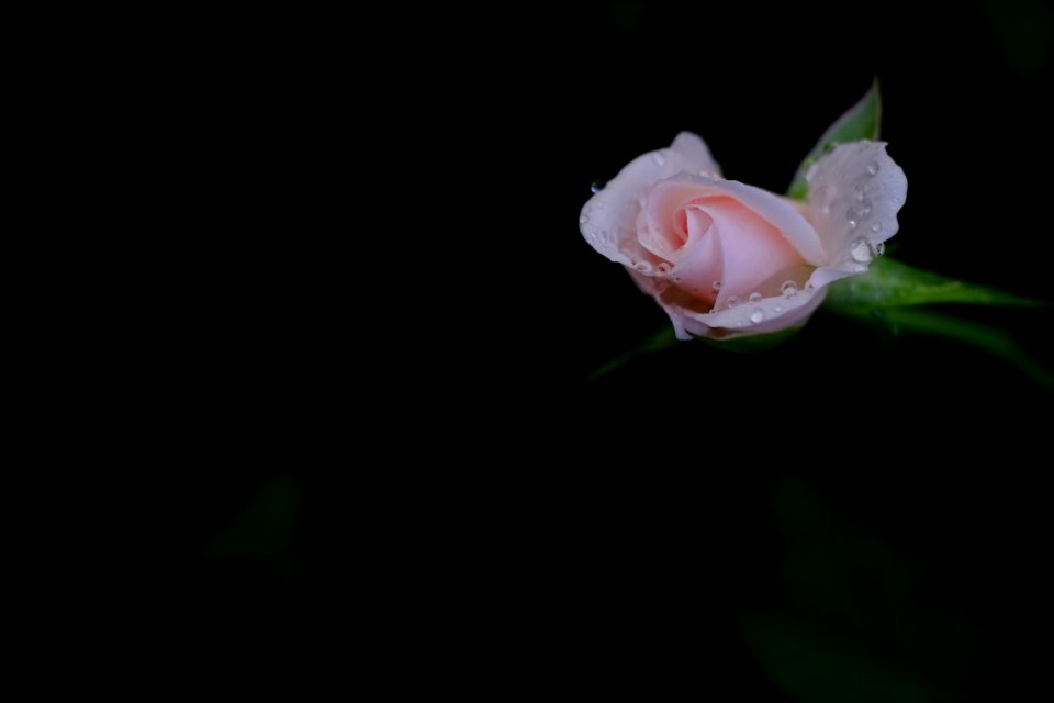 DSCF5068
