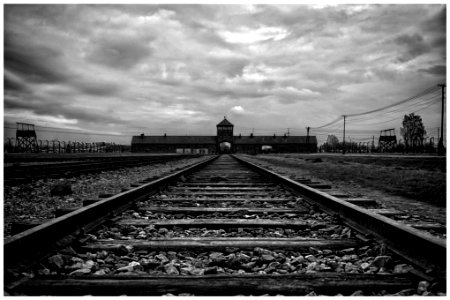 2016-11 Auschwitz- 15-20161111 photo