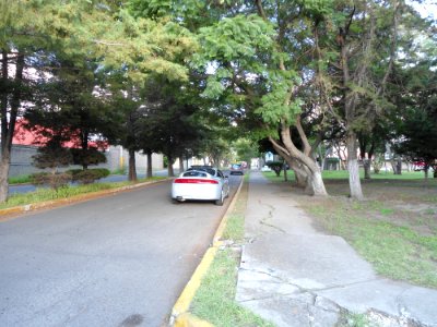 DSC00837