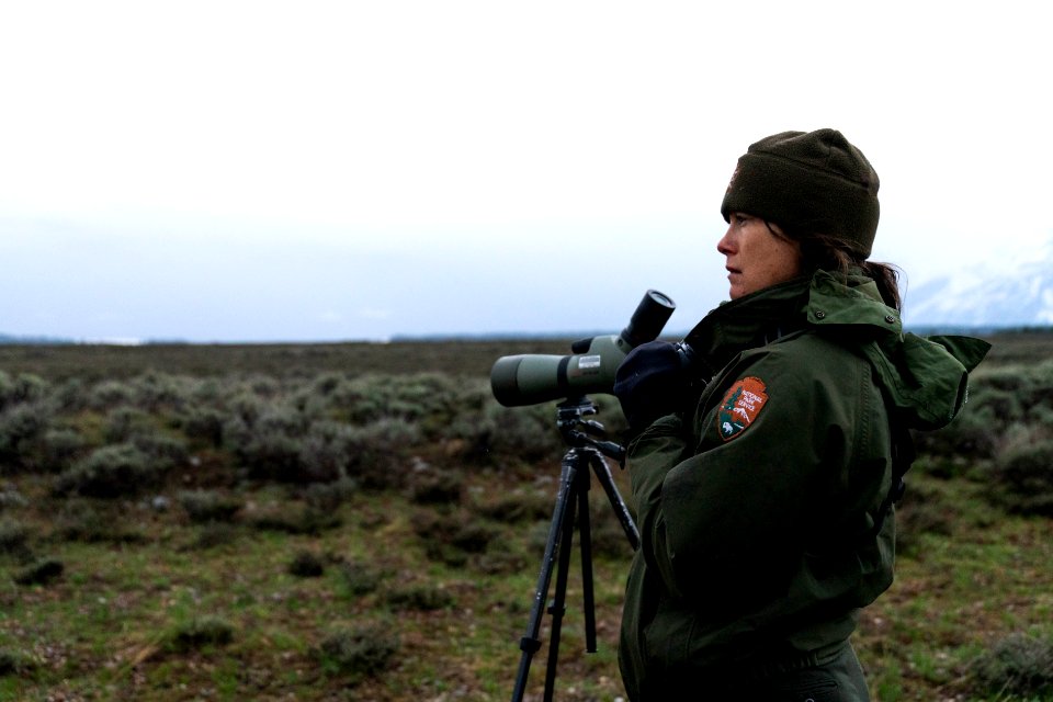 Ranger scans area