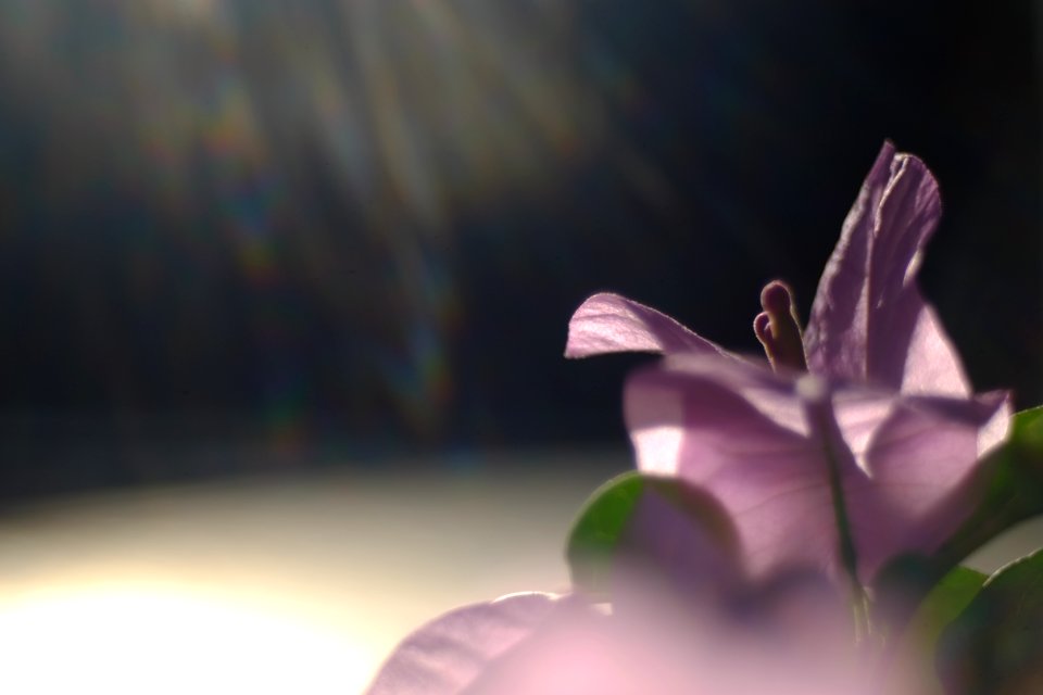 DSCF1783