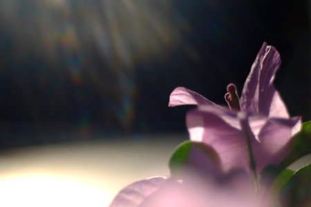 DSCF1783